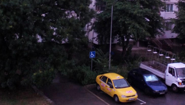 Човекът постоянно паркира на инвалидно място и шофира по тротоара