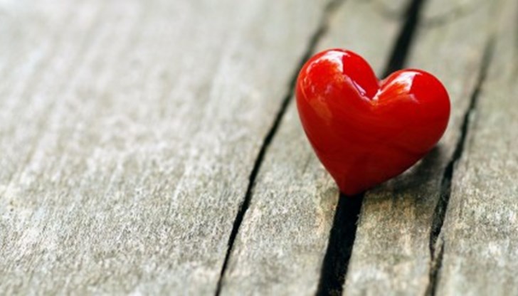 Забравили сме, че на този свят сме, за да обичаме, и да бъде обичани