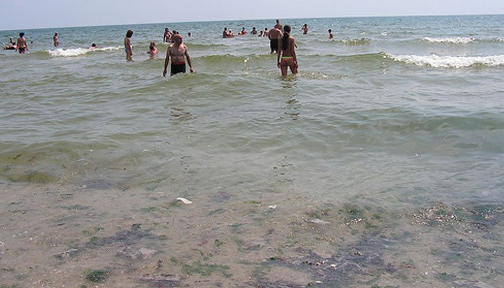 Кърлежи хапят на пясъка, диарии, алергии и летен грип морят плажуващите