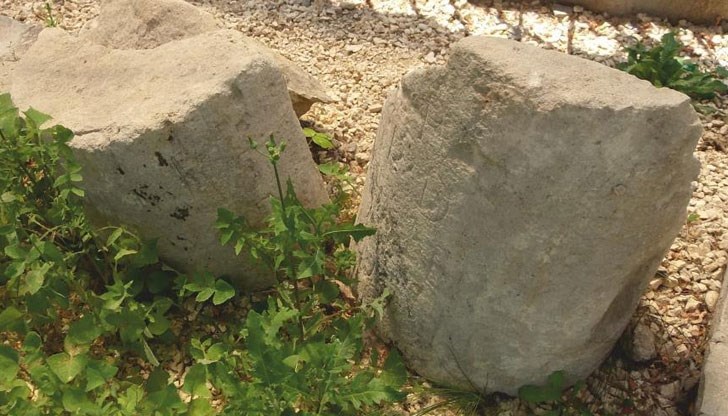 Част от хората идват, за да се разходят или да отпочинат