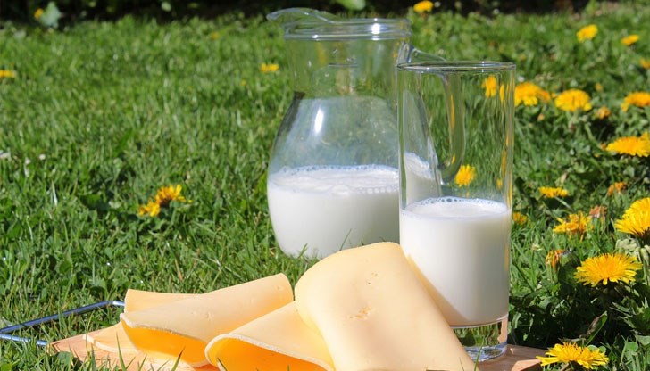 Калцият е много полезен, но при някои хора може да причини инфекция Калцият е много полезен, но при някои хора може да причини инфекция