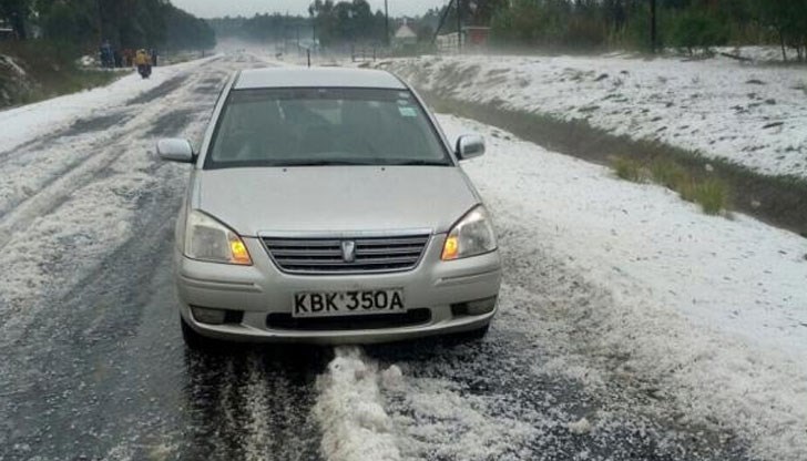 Кенийците се сблъскаха с редкия "посетител", вместо огрени от слънцето плажове, лениви лъвове и залези в саваната