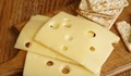 Швейцарското сирене удължава живота