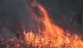 Огромен пожар избухна на полигона на ВМЗ - Сопот
