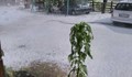 Зрелищни кадри от стихията в Сърбия