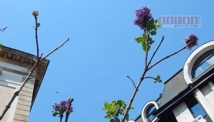 Това е поличба за люта зима