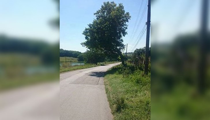 От Община Русе констатираха, че е опасно....и толкова!