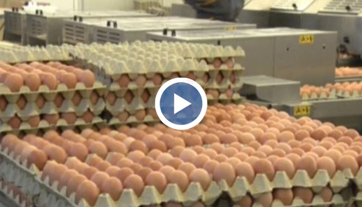 Две фирми в София и Стара Загора са вложили опасното вещество в продуктите си