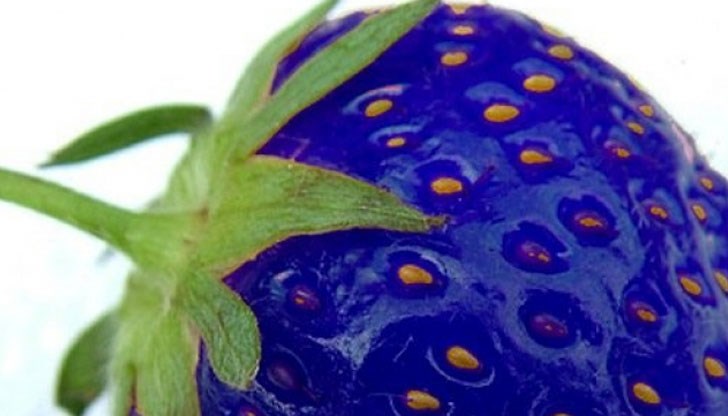 Увеличават глобите за производство и продажба на опасни храни