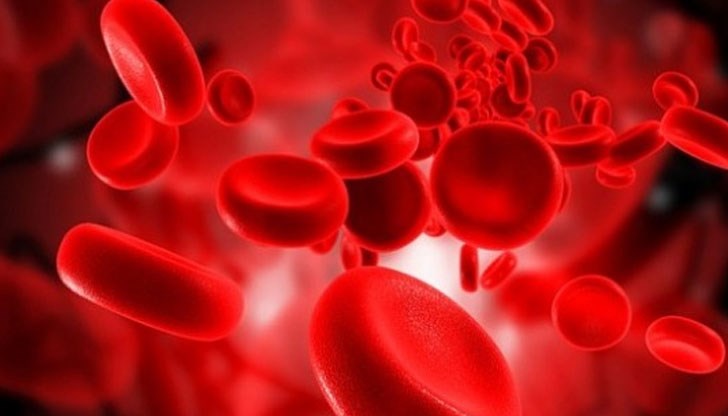 Оставям телефон за връзка - 0887 031 206, Радка Мирчева Оставям телефон за връзка - 0887 031 206, Радка Мирчева