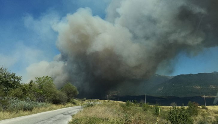 Дни наред лъгал разследващите, но вчера направил самопризнания Дни наред лъгал разследващите, но вчера направил самопризнания