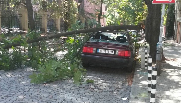 Автомобилът е бил паркиран Автомобилът е бил паркиран