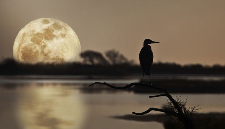 Болестите възникнали днес не са опасни, правете бавен секс Болестите възникнали днес не са опасни, правете бавен секс