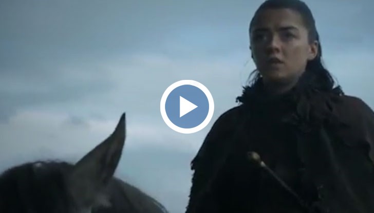 Те твърдят, че разполагат с общо терабайт и половина информация