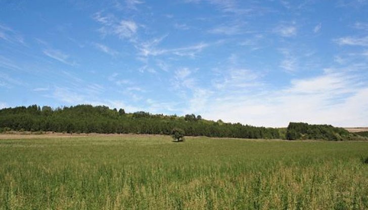 Измамниците са направили фалшиви договори за отдаване на земя в категорията “бели петна”