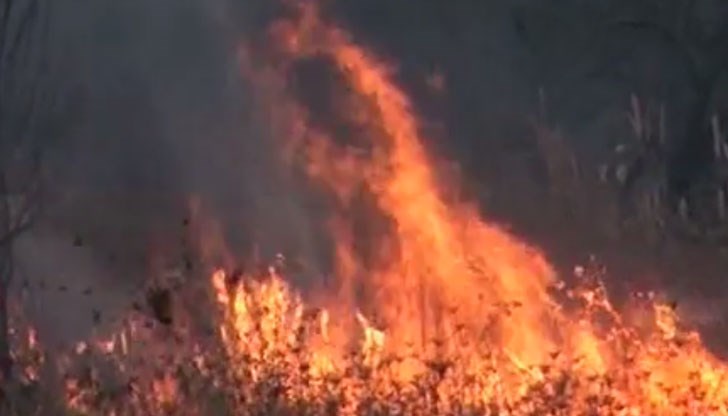 Огънят прехвърли Подбалканския път и доближава къщите в Анево