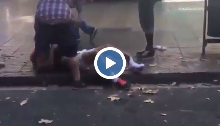 Шофьорът карал на зиг-заг, за да нацели повече хора