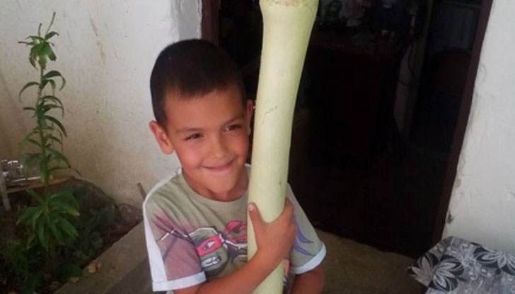 Тя е по-голяма от 6-годишния Мишо!