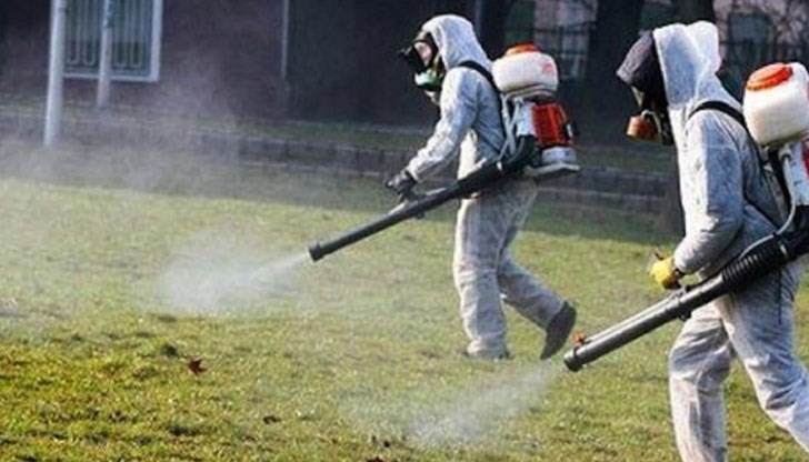 Стопаните да вземат мерки за опазване на пчелите и пчелните семейства