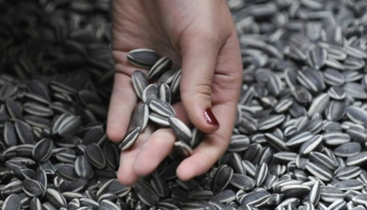 Вече има заловен един нарушител! Вече има заловен един нарушител!