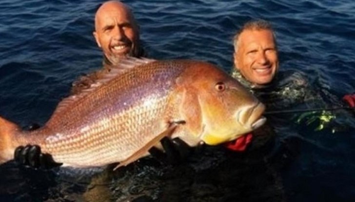 Аматьорът успял да хване голямата риба, тежаща 11 кг
