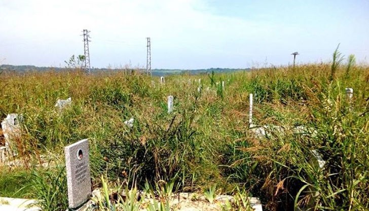 Такси се събират редовно, не малки при това, а кошмарът на гробището остава Такси се събират редовно, не малки при това, а кошмарът на гробището остава