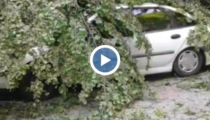 Човекът е искал да си налее вода от чешма близо до Петрохан, а сега лежи потрошен в болницата