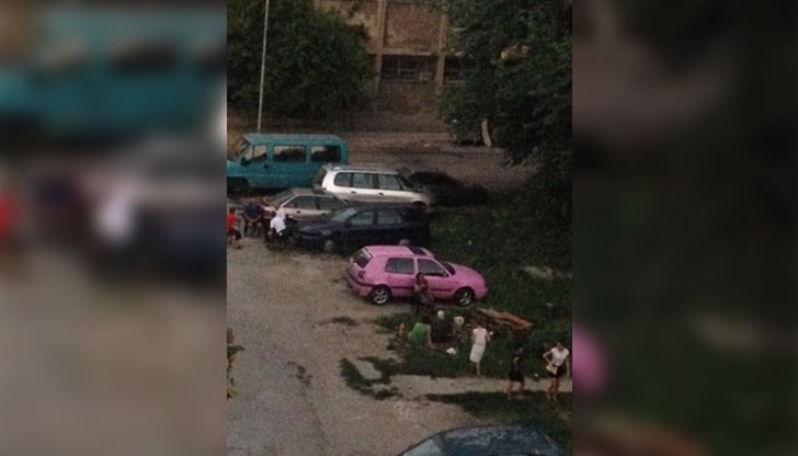 Ако не са в къщата, са по тревата наоколо...