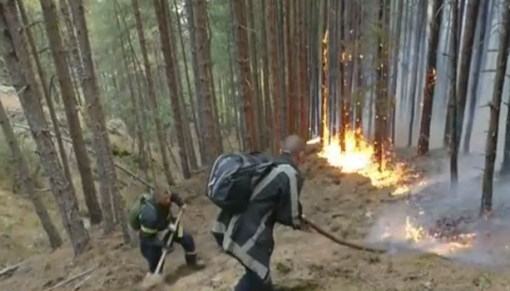 Нужни са 50 години за възстановяване на щетите Нужни са 50 години за възстановяване на щетите