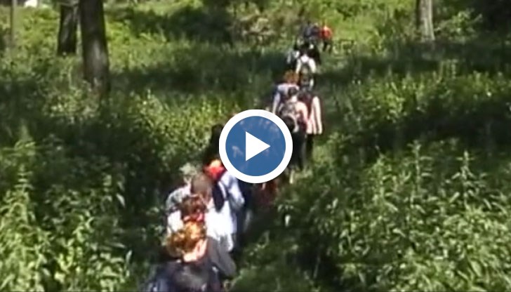 Еколозите канят хора, които обичат да са сред природата