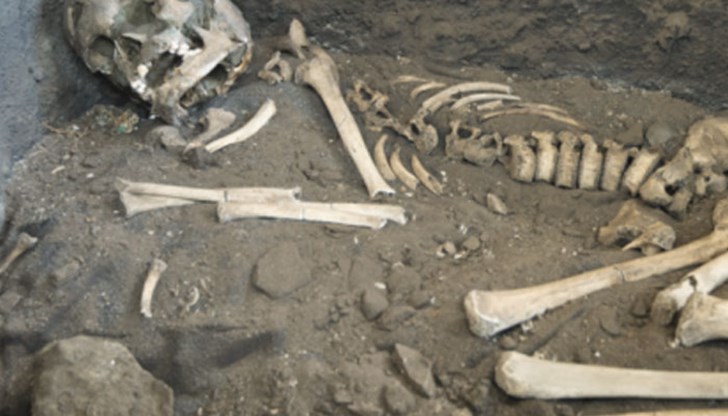 Зловещата находка е открита в шахта за аспирация Зловещата находка е открита в шахта за аспирация