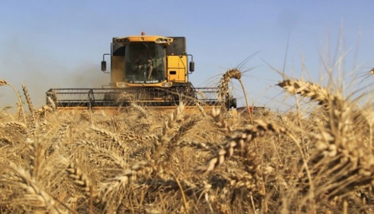 "Зърнарите" отказали да плащат „кръвен данък”