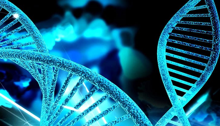Гени, носещи наследствено сърдечно заболяване, бяха модифицирани успешно при човешки ембриони за пръв път в историята