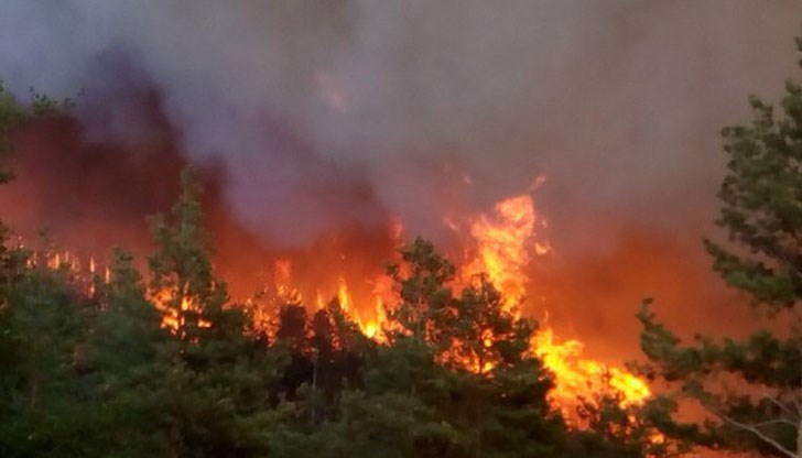 Вече 2 седмици бушуват пожари в съседката ни, намериха обгорял труп в село Люботен