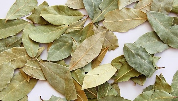 Запалете няколко листа и излезте от стаята за 10 минути Запалете няколко листа и излезте от стаята за 10 минути