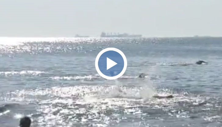 През 2016 година са се удавили 133-ма души