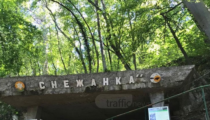 Туристи се оплакват, че постоянно говорят, прекъсват екскурзовода и пипат сталактитите