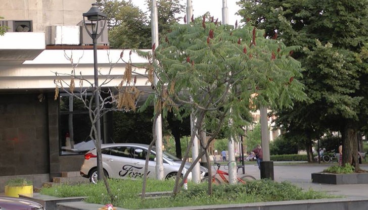 Такова бездушие и безхаберие едва ли има в друг град