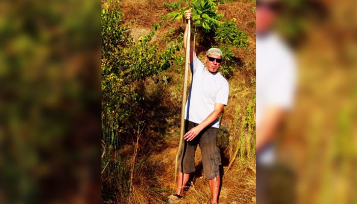 На територията на България има документирани само две съобщения за уловени змии с дължина над 200 см
