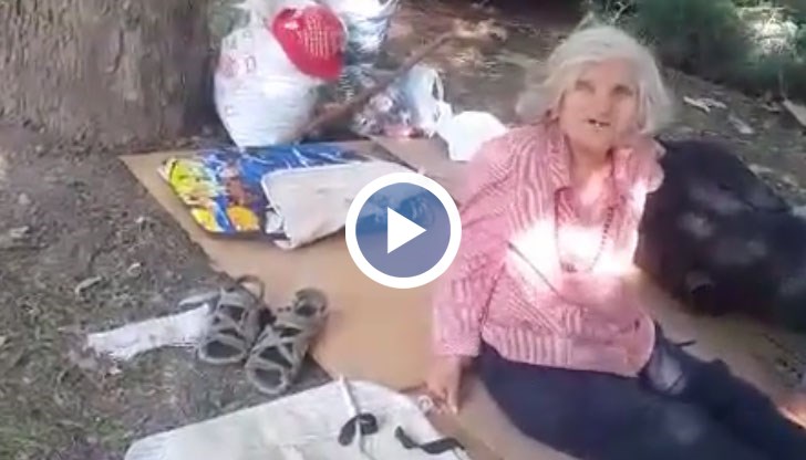 Двама пенсионери живеят на една поляна в центъра Русе