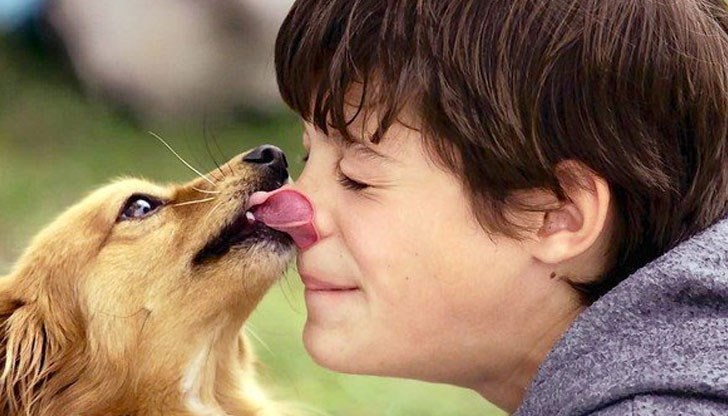 Първите симптоми на заразяване наподобяват тези при други болести Първите симптоми на заразяване наподобяват тези при други болести