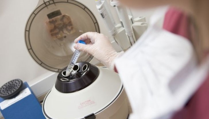 Подобни наредби има в повечето европейски държави