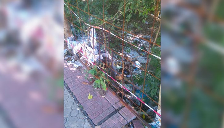 Свободен дух...мизерен..