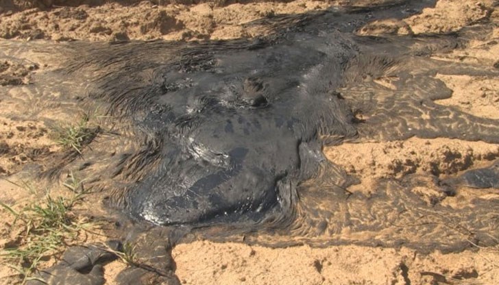 Екологична тревога сред русенци