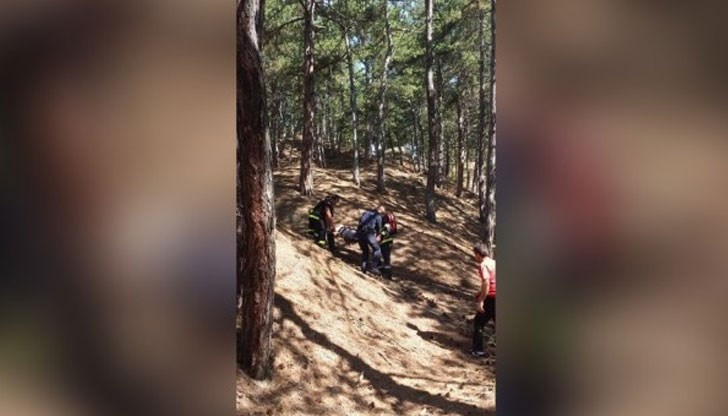 64-годишната жена тръгнала с внучето си да събират шишарки