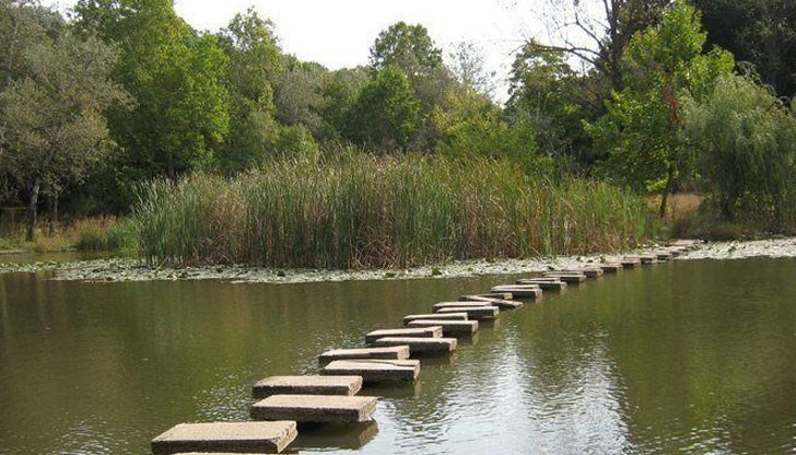 Празникът се проведе под открито небе Празникът се проведе под открито небе