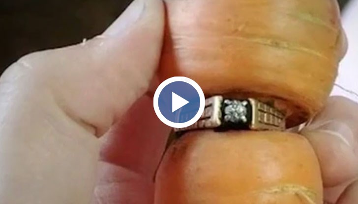 Тя го изгубила пред цели 13 години и през цялото време моркова е стоял в почвата