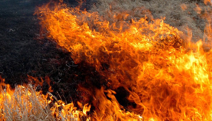 630 пожара само за 3 дни