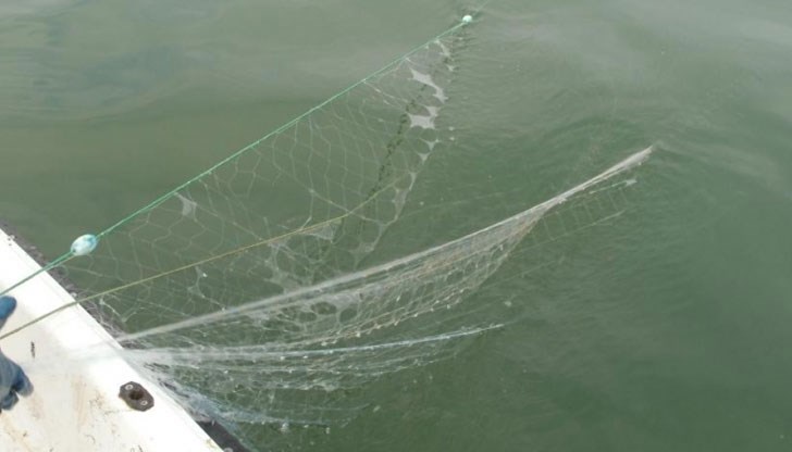 Конфискуваната риба е дарена на дом за деца