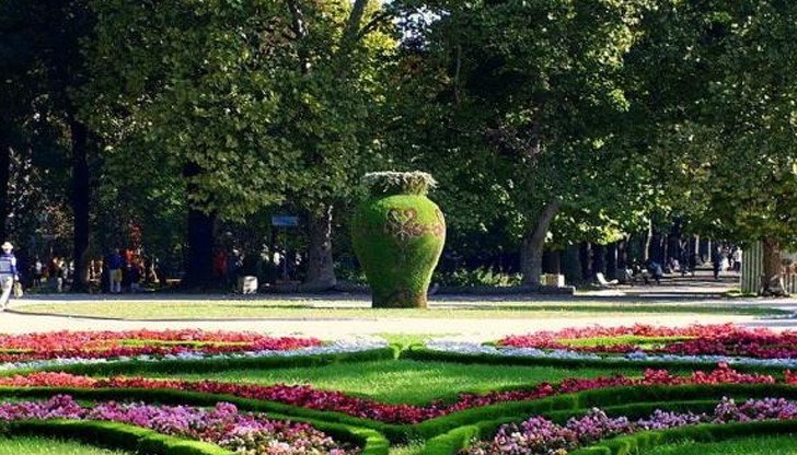Ето какво може да видите днес до Вазата в парка Ето какво може да видите днес до Вазата в парка